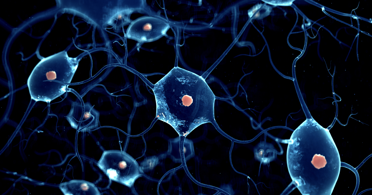 Weight Loss Health Research of Hampton Roads